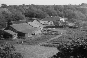 Bilde av Bergan Øde